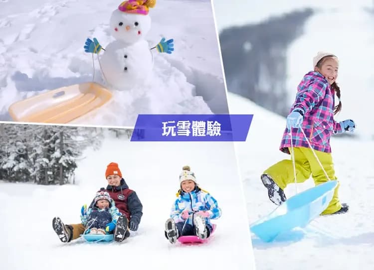 泰夢幻東京玩雪溫泉6日.富士山景觀纜車.冬季採草莓體驗.忍野八海.海賊船.箱根神社(泰獅航）-9