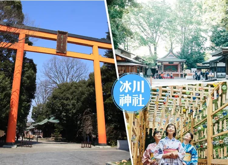 東京春櫻雙溫泉7日.百選櫻花.富士絕景纜車.千鳥之淵隧道.絕美列車.長瀞遊船.輕井澤秘境.清里高原.三大螃蟹吃到飽-9