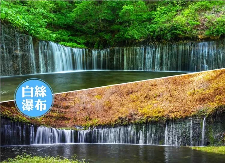 東京春櫻雙溫泉7日.百選櫻花.富士絕景纜車.千鳥之淵隧道.絕美列車.長瀞遊船.輕井澤秘境.清里高原.三大螃蟹吃到飽-12