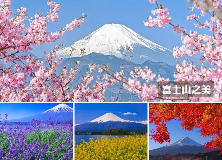 東京春櫻雙溫泉7日.百選櫻花.富士絕景纜車.千鳥之淵隧道.絕美列車.長瀞遊船.輕井澤秘境.清里高原.三大螃蟹吃到飽