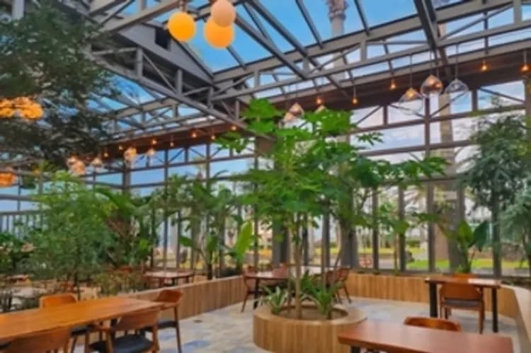 濟州賞櫻∣升等一晚五星藍鼎∣三姓穴賞櫻．山房山賞油菜花．秘境賞櫻．神話世界半日遊．探訪海女村．叢林咖啡廳．獨家特製醬蟹料理(一站購物彩妝)6日|高雄-6