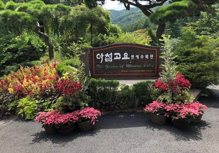 花現首爾櫻花｜穿韓服遊景福宮賞櫻.伊甸園櫻花路秘境.樂天塔眺望花景.近明洞飯店乙晚(一站購物彩妝)五日｜台中出發-8