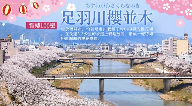 春櫻大阪旅遊｜琵琶湖畔賞櫻百選～海津大崎櫻花隧道.國寶彥根城.櫻花隧道～足羽川河畔四日｜福井萬怡.大津王子｜高雄-7