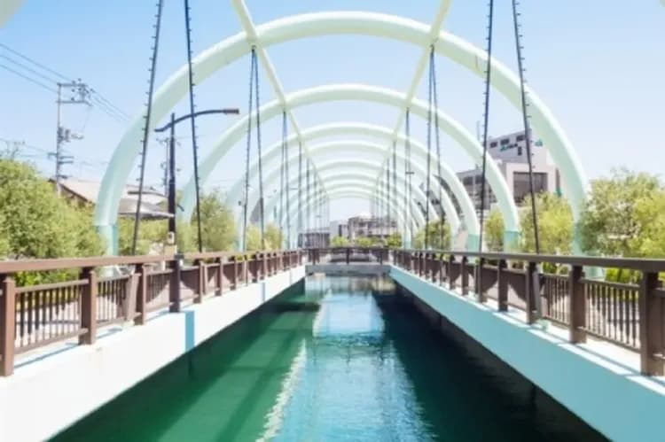 春櫻四國｜紫雲出山~賞櫻仙境,櫻名勝栗林公園,琴彈公園.金刀比羅宮.道後溫泉街,魔女小豆島五日｜台中出發-20