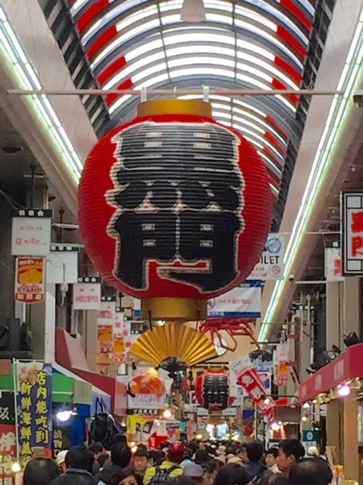 春櫻大阪旅遊｜森之美山町合掌村.海之天橋立.伊根舟屋.茶之平等院.清水寺.哲學之道.好運滿滿達摩五日｜高雄-5