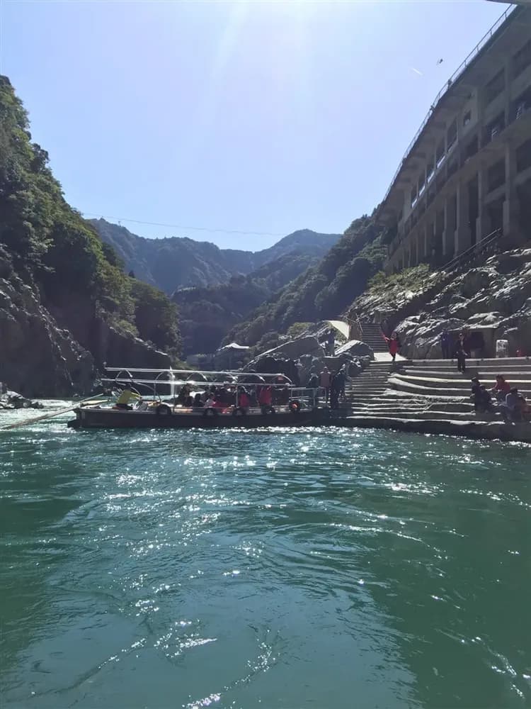 輕奢行｜春櫻四國三鐵道7日｜伊予灘&時代黎明&千年物語．道後夜櫻賞．隈研吾設計旅宿．大阪國際5星｜高松進大阪出三溫泉-5
