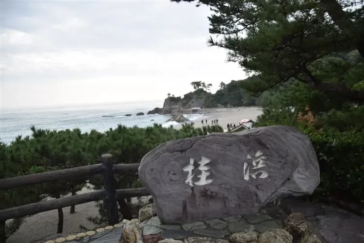 輕奢行｜春櫻四國三鐵道7日｜伊予灘&時代黎明&千年物語．道後夜櫻賞．隈研吾設計旅宿．大阪國際5星｜高松進大阪出三溫泉-6