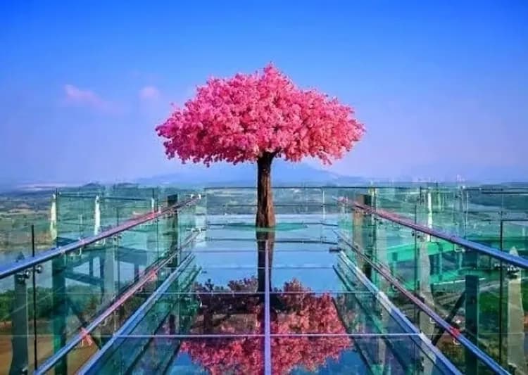 泰北清邁泰幸福│白廟藍廟.大象營.金三角遊船.天空步道.海鮮拼盤.森林系莊園5＋1日