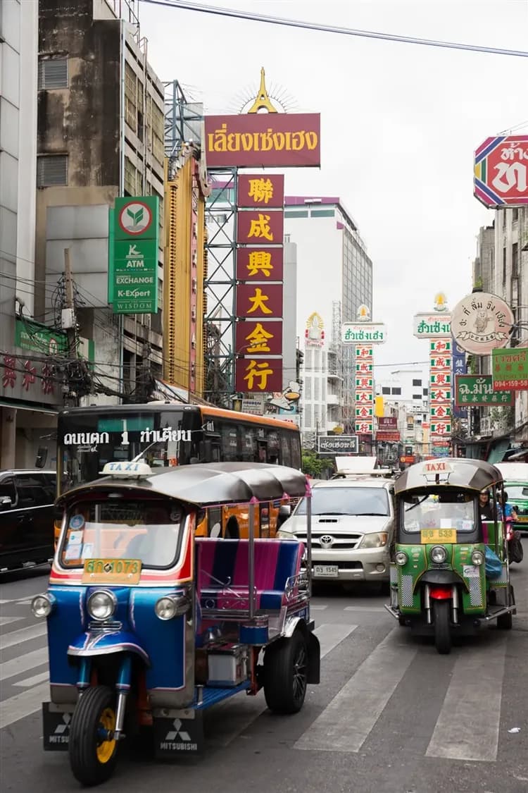 泰國旅遊│大城獅子動物園,王朝古都巡禮,嘟嘟車遊大城,Emsphere百貨,河畔米推料理,夜訪中國城,無購物五日-5