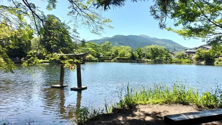 九州好享吃｜湯豆腐.梅枝餅.布丁.旅人列車.天滿宮.御船山樂園.由布院金麟湖.LALAPORT五日｜一日自由活動.分佐-5