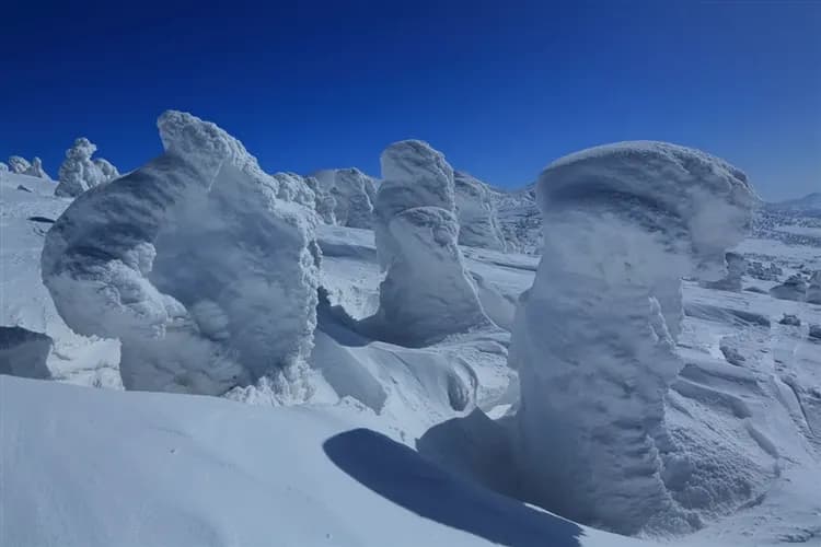 限量東北青仙旅遊|八甲田山樹冰纜車.銀山溫泉街.猊鼻溪遊船.角館武家屋敷.中尊寺.酒造.蘋果工廠見學.烤魚板DIY.溫泉六日