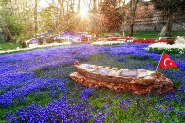 國際鬱金香花節(居爾哈尼鬱金香公園)