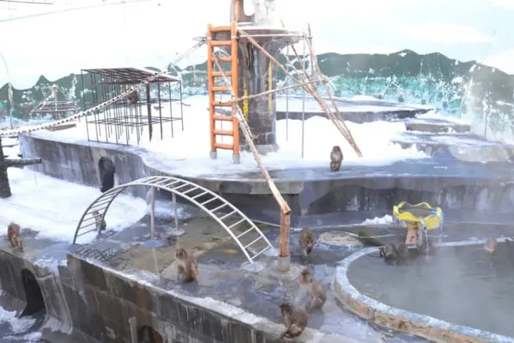 函館熱帶植物園 官網提供-函館熱帶植物園
