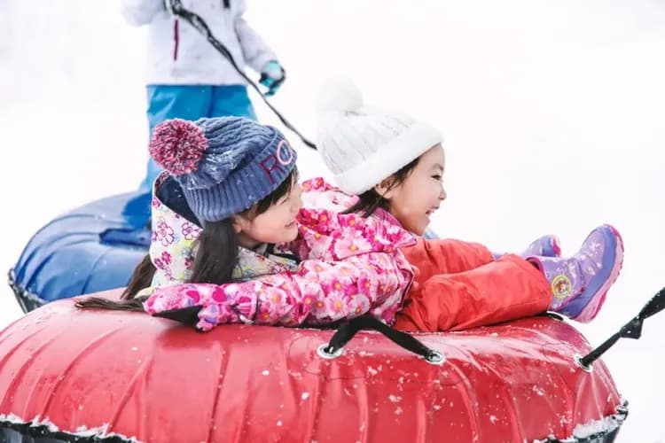 雪戀北海道～小樽函館山、洞爺湖彩燈節、円山動物園、雙溫泉雙市區五日