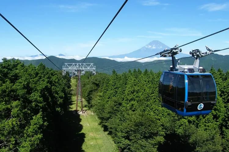 照片取自官網-箱根鐵道旅行(六月限定：繡球花電車)
