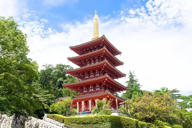 六月繡球花賞