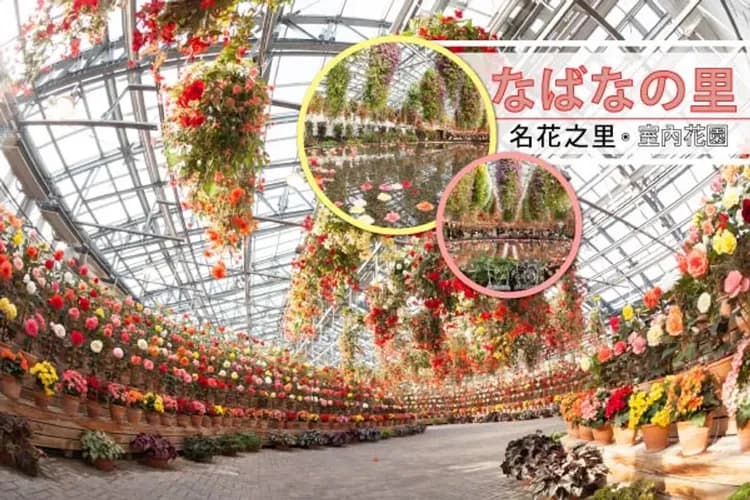 四季花卉樂園－名花之里