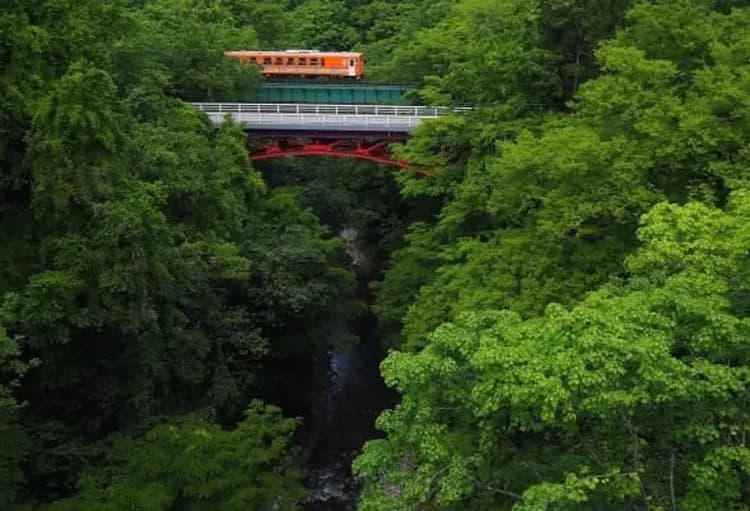 連休瘋東北～奧入瀨森呼吸、猊鼻溪渡輕舟、秋田縱貫鐵道、溫泉百選飯店五日-8