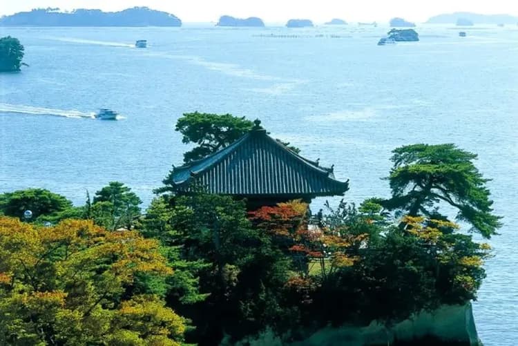 松島灣漫步(五大堂+烤魚板)