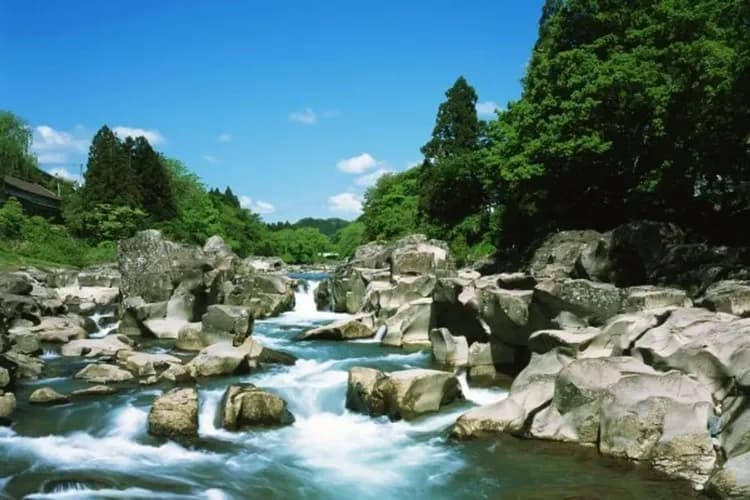 嚴美溪(贈送郭公糰子)