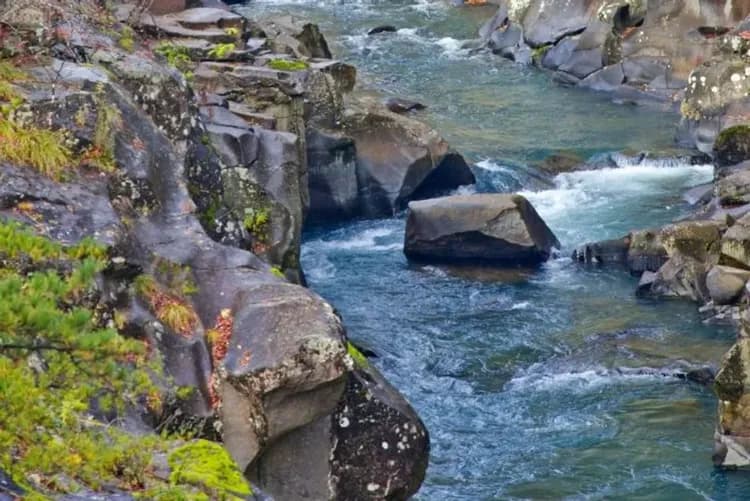 嚴美溪(贈送郭公糰子)