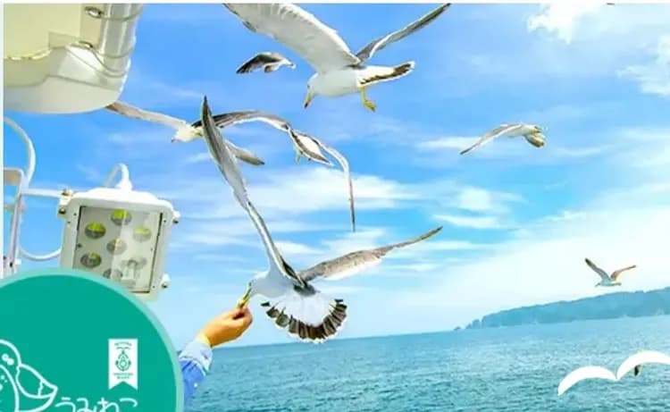 淨土之濱遊覽船 (岩手県観光ポータルサイト)-淨土之濱(遊覽船)