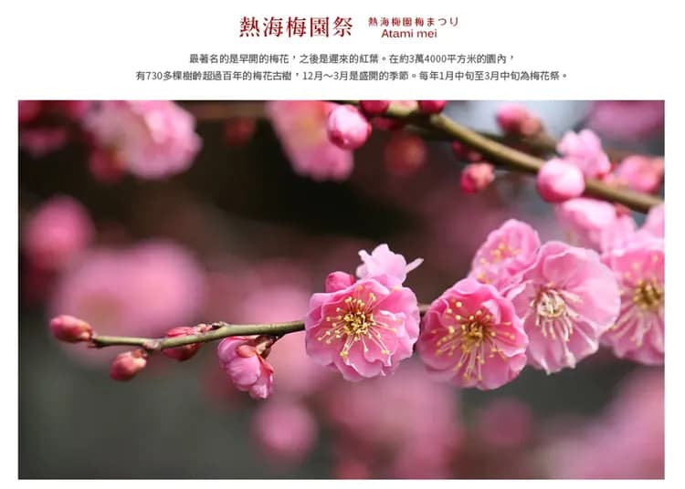 【伊豆花季溫泉遊５日】河津櫻花祭、熱海梅園、大室山纜車、雙溫泉[含稅簽]-6