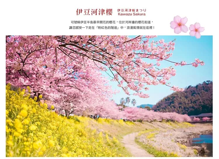 【伊豆花季溫泉遊５日】河津櫻花祭、熱海梅園、大室山纜車、雙溫泉[含稅簽]-5