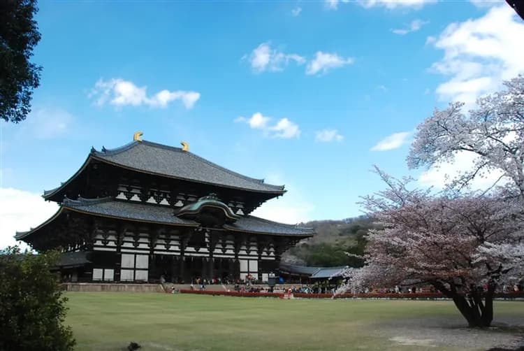 雙城進出不回頭～立山雪牆奇景6日｜上高地.兼六園.京都平等院.東大寺餵鹿.達摩勝尾寺.嵐山渡月橋.道頓堀或梅田自由逛｜保住萬豪系列-6