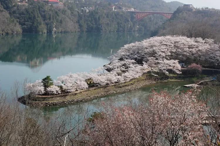 輕奢行｜北陸雪月花包車｜春日賞櫻四重奏．松本櫻城藝妓表演．保住櫻凜閣．匠人錫作微醺品酒．夢幻合掌屋．飛驒牛高空夜景美饌｜雙溫泉6日-8