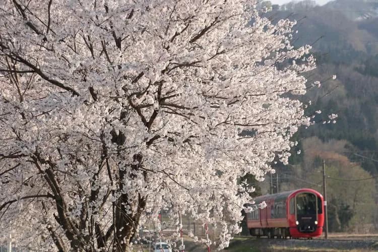 輕奢行｜北陸雪月花包車｜春日賞櫻四重奏．松本櫻城藝妓表演．保住櫻凜閣．匠人錫作微醺品酒．夢幻合掌屋．飛驒牛高空夜景美饌｜雙溫泉6日
