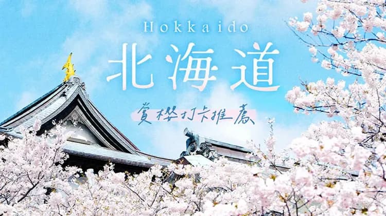 限定北海道旅遊｜浪漫春櫻.全程無自理餐.保住希爾頓.洞爺湖.小樽漫遊.三大螃蟹溫泉五日｜四晚溫泉