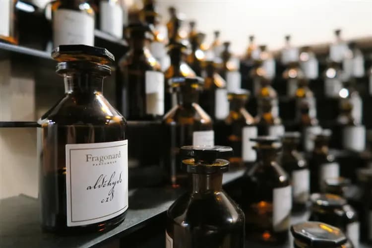 花季特選優惠｜荷比法旅遊│庫肯霍夫花園．北海漁村．特色三遊船．仙境羊角村．經典羅浮宮．梵谷小鎮．巴黎時尚購物趣11日-20