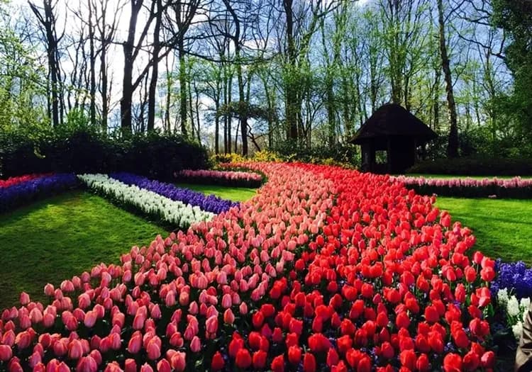 荷蘭旅遊,庫肯霍夫花園