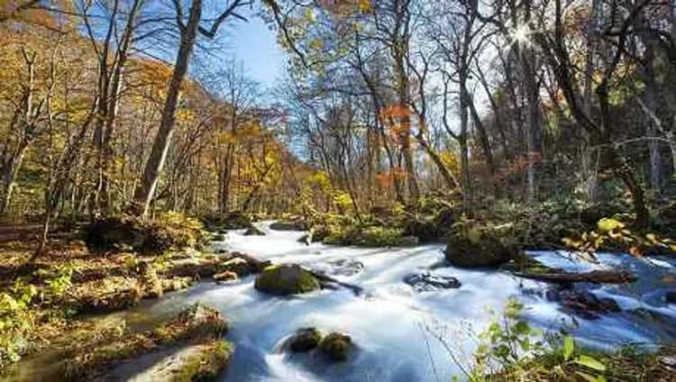 限時優惠｜東北促銷｜仙台五星威斯汀酒店.奧入瀨溪流.銀山溫泉街.角館.中尊寺.松島遊船.品酒.雙溫泉五日-8