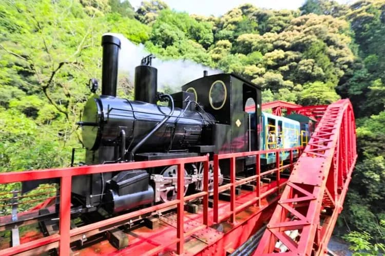 別子銅山礦坑(搭乘懷舊小火車)