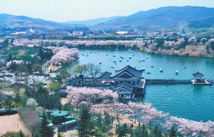 釜邱蔚櫻繽紛～慶州賞櫻花、世界文化遺產、天空膠囊列車、五星溫德姆飯店五日