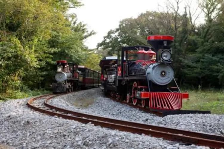 ECO LAND英式森林小火車