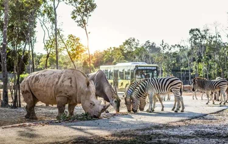 野生動物園(遊獵車)