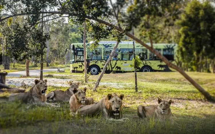 野生動物園(遊獵車)