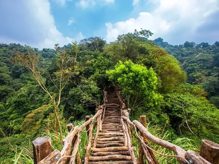 【台中出發】1-7人｜台中市區包車一日遊 （10小時/300公里內）-5