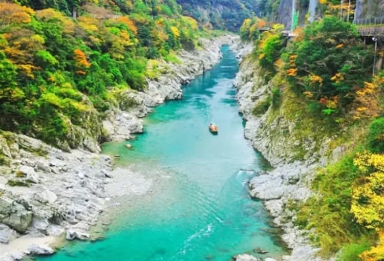 大步危峽觀光船