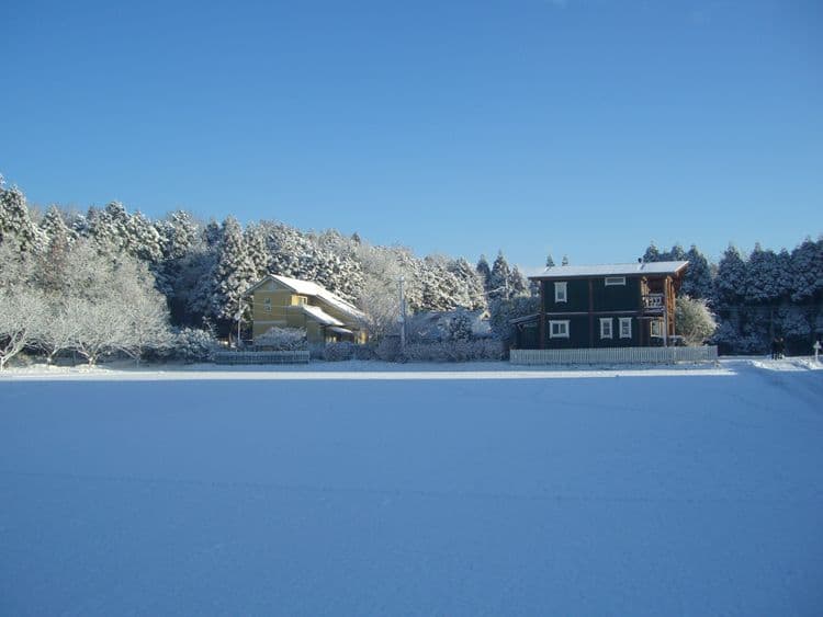 A beautiful silver world if snow falls