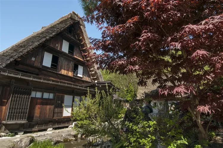 北陸清倉｜名花之里彩燈祭.長良川鐵道.白川鄉合掌村.飛驒高山.千鳥居.美濃DIY溫泉六日