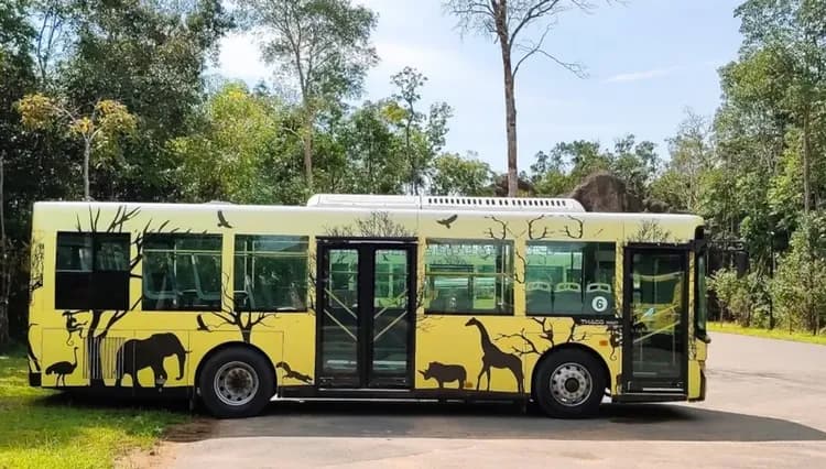 越南旅遊｜【越捷直飛】野生動物園.珍珠奇幻樂園.富國大世界.香島跨海纜車.全程五星飯店.美食饗宴六日-17