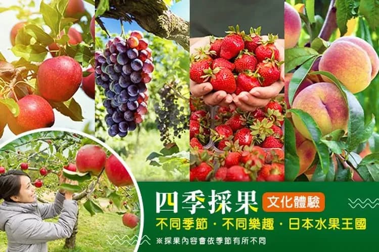 果園甜蜜採果樂