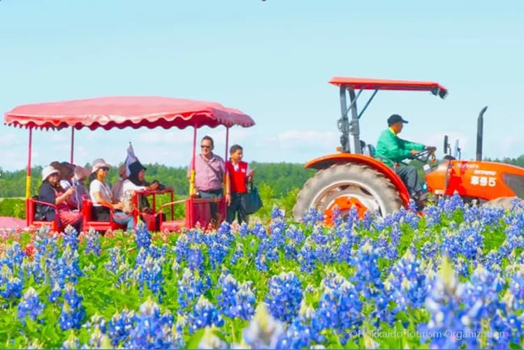 写真提供：Hokkaido Tourism Organization/禁止轉載-北國魅力三大體驗