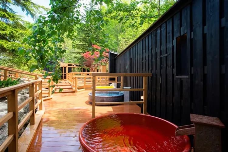 北湯澤：綠之風渡假村(乙晚；一泊二食)