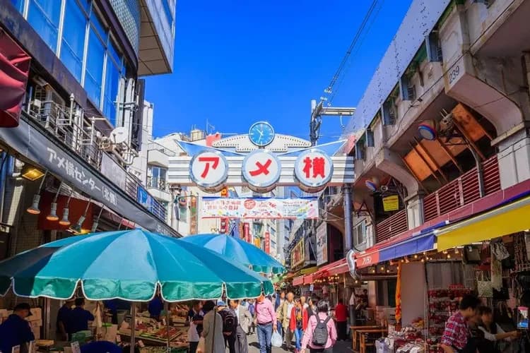 東京夏日感謝祭～富士山景餐廳、三大蟹涮涮鍋、御殿場OUTLET、河口湖景飯店五日-6