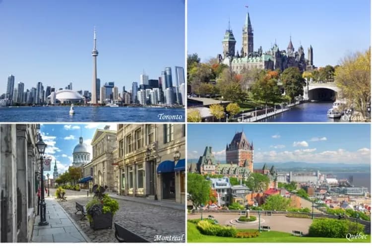 美加東八大名城